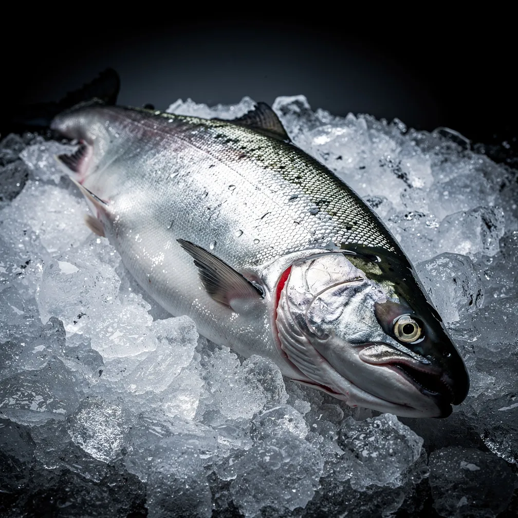 Ilustracja do słowa der Fisch